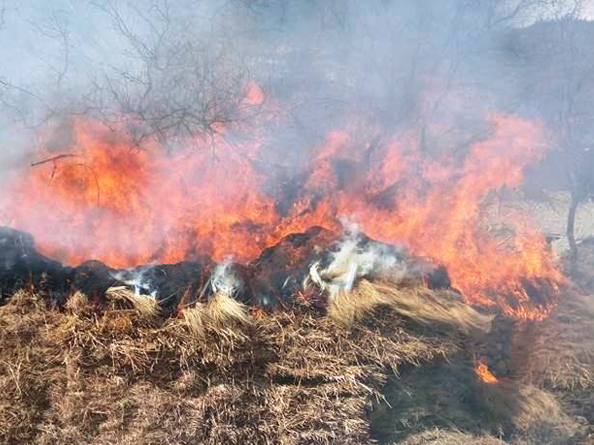 बैतडीको सुर्नयामा आगलागि हुँदा खर जलेर नष्ट, ३० हजार बढीको क्षति